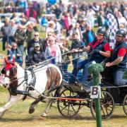 The East Anglian Game and Country Fair returns to Euston Estate near Thetford on April 27-28, 2024
