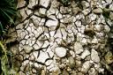 The east has been plunged into drought following a decision at a meeting of the National Drought Group on Friday