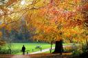 Autumn in Sheringham Park. 
Picture: ANTONY KELLY