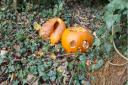 Pumpkin dumping can be dangerous for wildlife, the Woodland Trust has warned