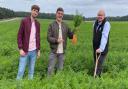 SORTEDfood co-founders Mike Huttlestone and Ben Ebbrell learn about farming with Andrew Francis of the Elveden Estate (right)