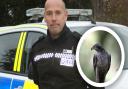 Sergeant Brian Calver of the Suffolk police rural wildlife team and a goshawk which is a rare species native to Suffolk.