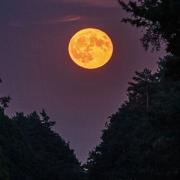The strawberry moon was also captured over Brandon Road in Thetford