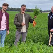 SORTEDfood co-founders Mike Huttlestone and Ben Ebbrell learn about farming with Andrew Francis of the Elveden Estate (right)