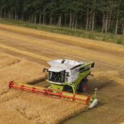 A combine harvester in a barley field on the Elveden Estate, near Thetford