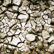 The east has been plunged into drought following a decision at a meeting of the National Drought Group on Friday