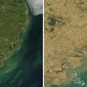 Satellite images have captured the difference in East Anglia in just one year. Left - July 17, 2021. Right - July 19, 2022.