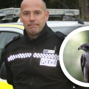 Sergeant Brian Calver of the Suffolk police rural wildlife team and a goshawk which is a rare species native to Suffolk.