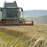 Grants of up to £500,000 are available for the farming community