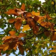 When is the autumn equinox this year?