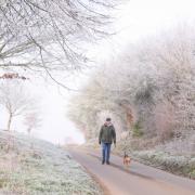 Norfolk is expected to see its first frost of the autumn this evening