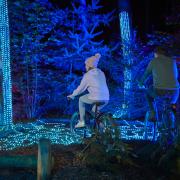 There are three new displays for guests to enjoy at Center Parcs in Elveden Forest