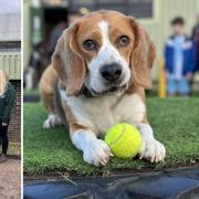 Pooch's Yard in Thetford had moved into a new home