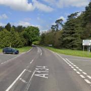 The A134 was closed near Thetford for tree felling