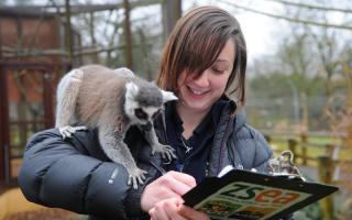Nine new animals are arriving at Banham Zoo and Africa Alive this spring